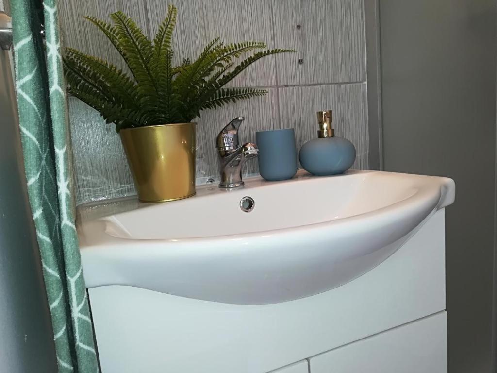 Guesthouse Smart Бухарест Екстер'єр фото