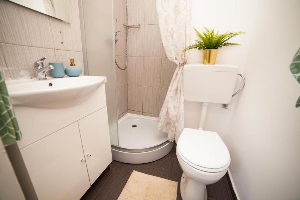 Guesthouse Smart Бухарест Екстер'єр фото